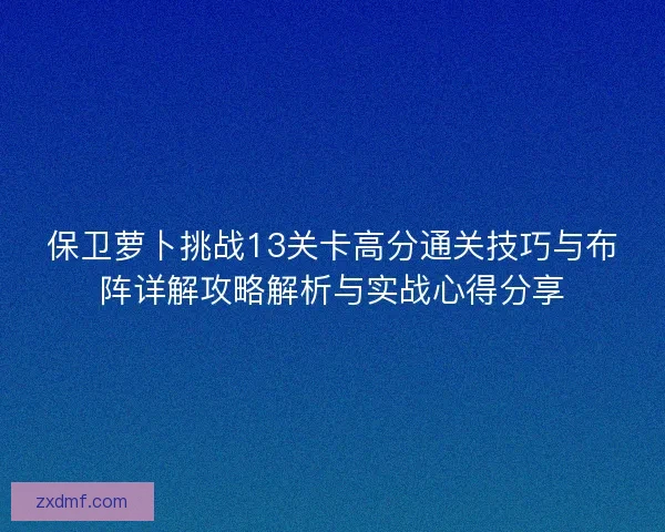 保卫萝卜挑战13关卡高分通关技巧与布阵详解攻略解析与实战心得分享